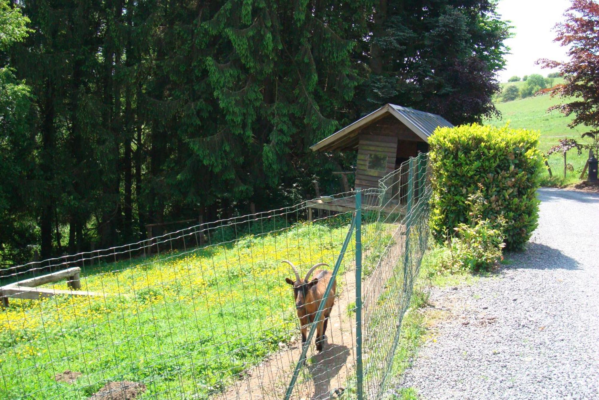 Gîte La Gernelle Bouillon Exterior foto